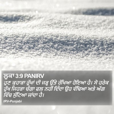 ਲੂਕਾ 3:9 PANIRV Bible Verse Image