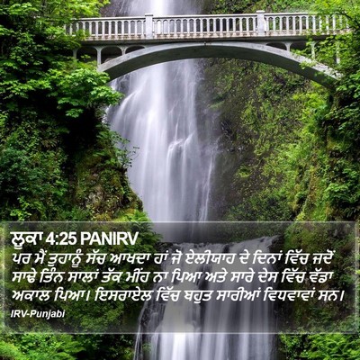 ਲੂਕਾ 4:25 PANIRV Bible Verse Image