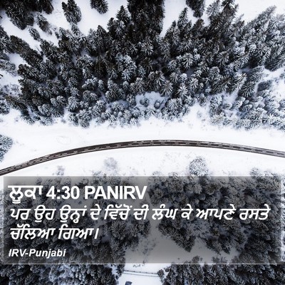ਲੂਕਾ 4:30 PANIRV Bible Verse Image