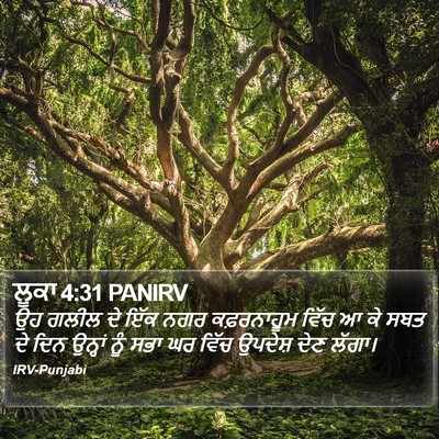 ਲੂਕਾ 4:31 PANIRV Bible Verse Image