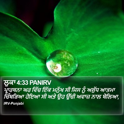 ਲੂਕਾ 4:33 PANIRV Bible Verse Image