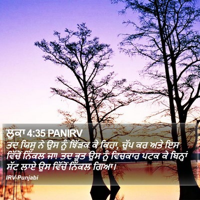 ਲੂਕਾ 4:35 PANIRV Bible Verse Image