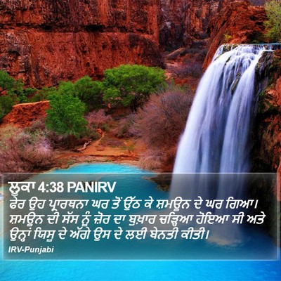 ਲੂਕਾ 4:38 PANIRV Bible Verse Image