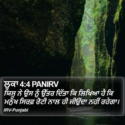 ਲੂਕਾ 4:4 PANIRV Bible Verse Image