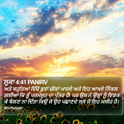 ਲੂਕਾ 4:41 PANIRV Bible Verse Image