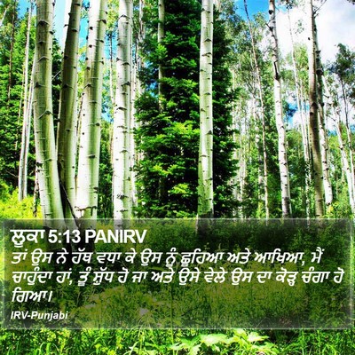 ਲੂਕਾ 5:13 PANIRV Bible Verse Image
