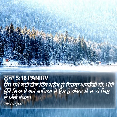 ਲੂਕਾ 5:18 PANIRV Bible Verse Image