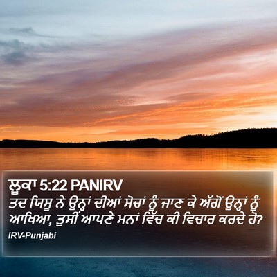 ਲੂਕਾ 5:22 PANIRV Bible Verse Image