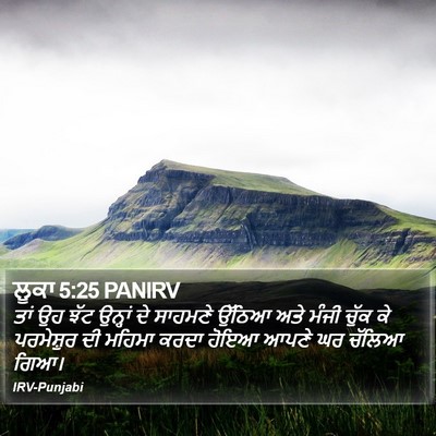 ਲੂਕਾ 5:25 PANIRV Bible Verse Image