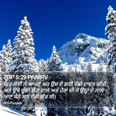 ਲੂਕਾ 5:29 PANIRV Bible Verse Image