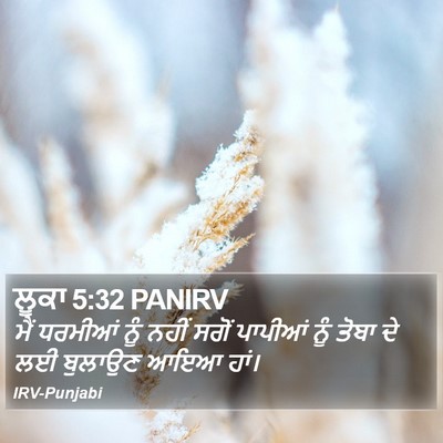 ਲੂਕਾ 5:32 PANIRV Bible Verse Image
