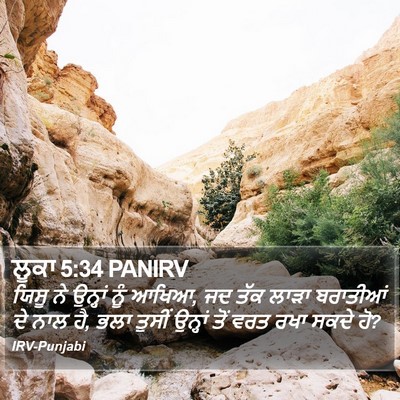 ਲੂਕਾ 5:34 PANIRV Bible Verse Image