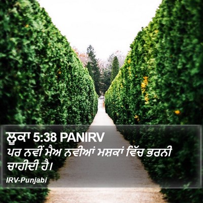ਲੂਕਾ 5:38 PANIRV Bible Verse Image