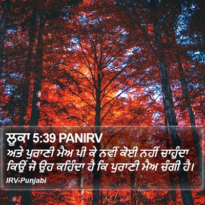 ਲੂਕਾ 5:39 PANIRV Bible Verse Image