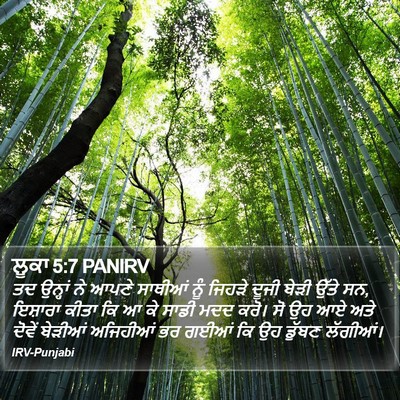 ਲੂਕਾ 5:7 PANIRV Bible Verse Image