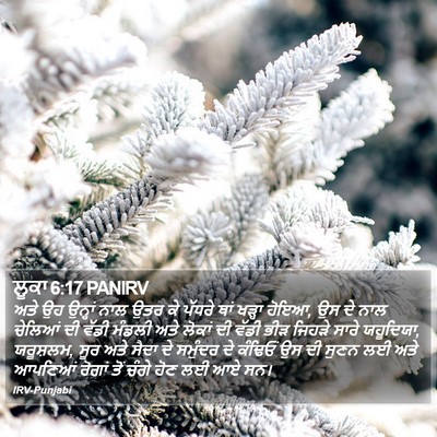 ਲੂਕਾ 6:17 PANIRV Bible Verse Image