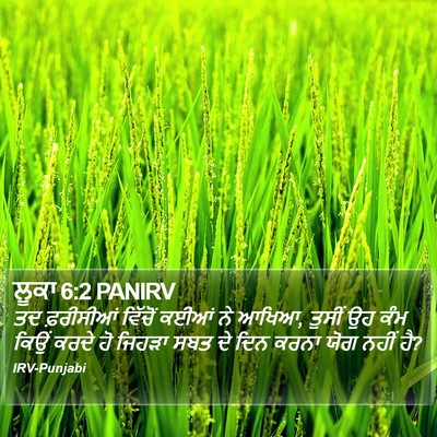 ਲੂਕਾ 6:2 PANIRV Bible Verse Image