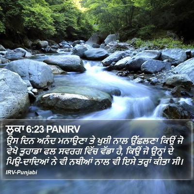 ਲੂਕਾ 6:23 PANIRV Bible Verse Image