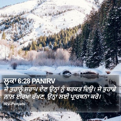ਲੂਕਾ 6:28 PANIRV Bible Verse Image