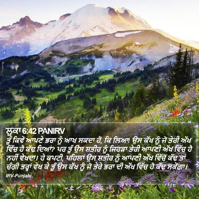 ਲੂਕਾ 6:42 PANIRV Bible Verse Image