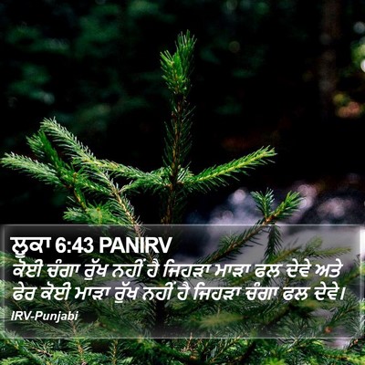 ਲੂਕਾ 6:43 PANIRV Bible Verse Image