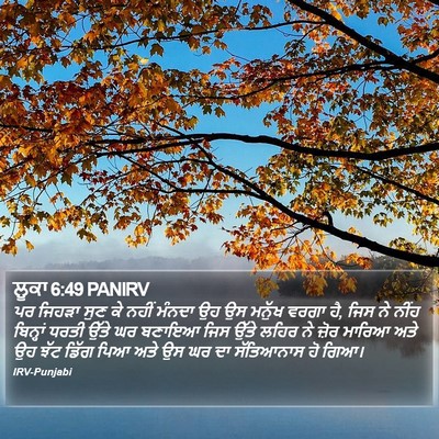 ਲੂਕਾ 6:49 PANIRV Bible Verse Image
