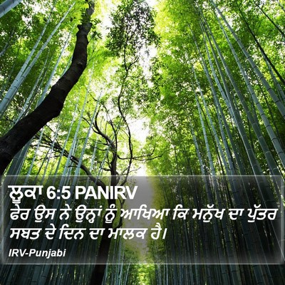 ਲੂਕਾ 6:5 PANIRV Bible Verse Image