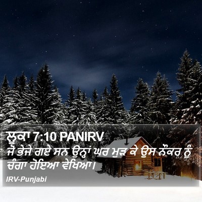ਲੂਕਾ 7:10 PANIRV Bible Verse Image
