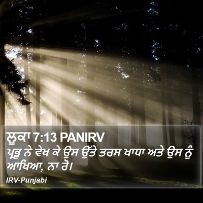 ਲੂਕਾ 7:13 PANIRV Bible Verse Image
