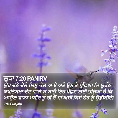 ਲੂਕਾ 7:20 PANIRV Bible Verse Image