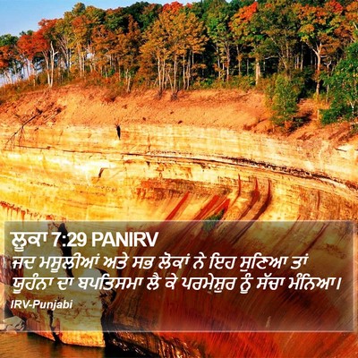 ਲੂਕਾ 7:29 PANIRV Bible Verse Image