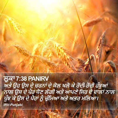 ਲੂਕਾ 7:38 PANIRV Bible Verse Image