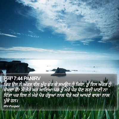 ਲੂਕਾ 7:44 PANIRV Bible Verse Image