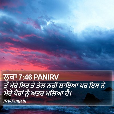 ਲੂਕਾ 7:46 PANIRV Bible Verse Image