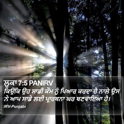 ਲੂਕਾ 7:5 PANIRV Bible Verse Image