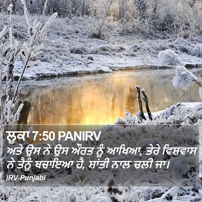 ਲੂਕਾ 7:50 PANIRV Bible Verse Image