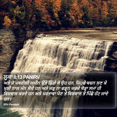 ਲੂਕਾ 8:13 PANIRV Bible Verse Image
