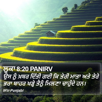 ਲੂਕਾ 8:20 PANIRV Bible Verse Image