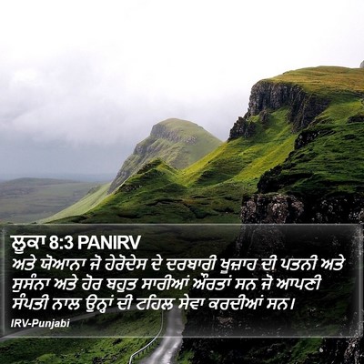 ਲੂਕਾ 8:3 PANIRV Bible Verse Image