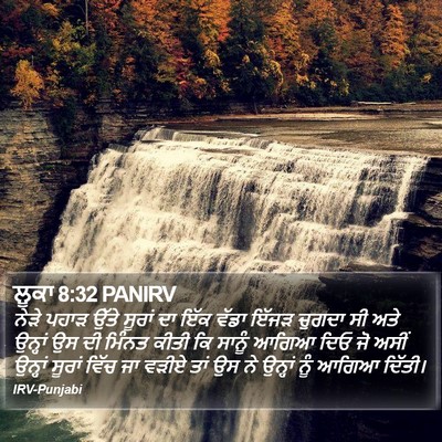 ਲੂਕਾ 8:32 PANIRV Bible Verse Image
