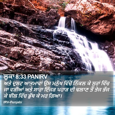 ਲੂਕਾ 8:33 PANIRV Bible Verse Image