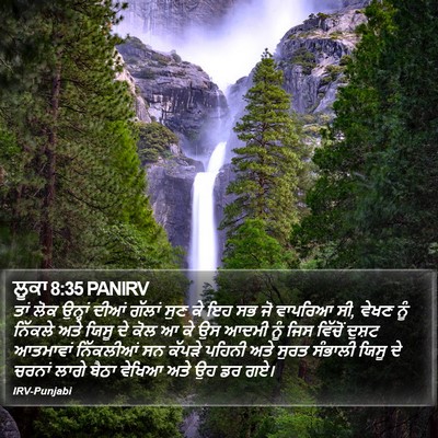 ਲੂਕਾ 8:35 PANIRV Bible Verse Image