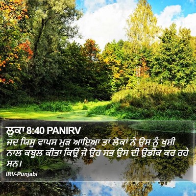 ਲੂਕਾ 8:40 PANIRV Bible Verse Image