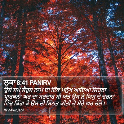 ਲੂਕਾ 8:41 PANIRV Bible Verse Image