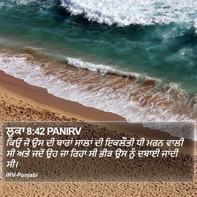 ਲੂਕਾ 8:42 PANIRV Bible Verse Image