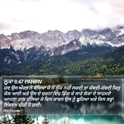 ਲੂਕਾ 8:47 PANIRV Bible Verse Image