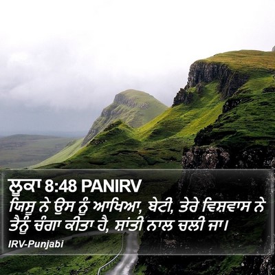 ਲੂਕਾ 8:48 PANIRV Bible Verse Image