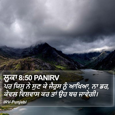 ਲੂਕਾ 8:50 PANIRV Bible Verse Image
