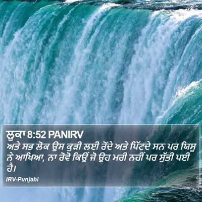 ਲੂਕਾ 8:52 PANIRV Bible Verse Image