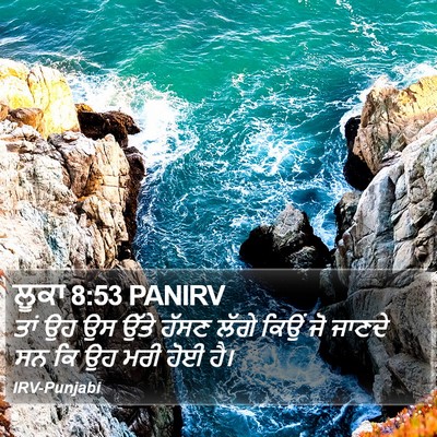 ਲੂਕਾ 8:53 PANIRV Bible Verse Image